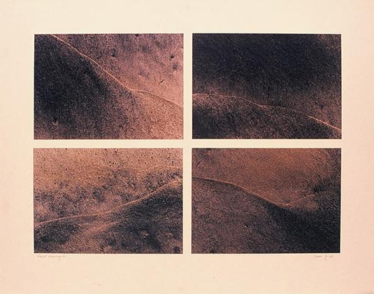 An Uncanny Simplicity An Uncanny Simplicity