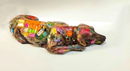 Listening to the Wild